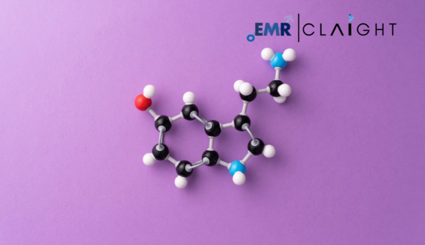 Global Polysorbate Market Analysis and Forecast