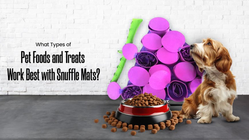 What Types of Pet Foods and Treats Work Best with Snuffle Mats?