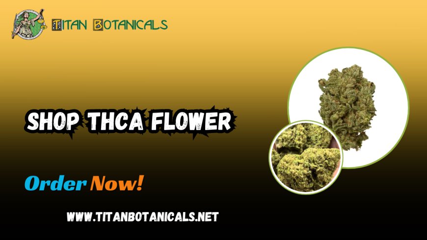 Shop THCA Flower: Discover the Best Options for Non-Psychoactive Cannabis