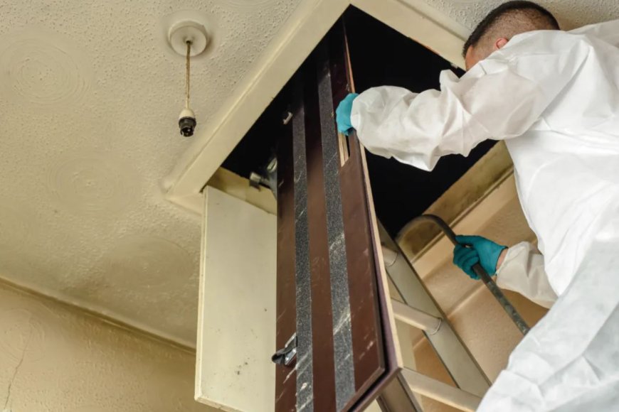 Building and Pest Inspection Adelaide