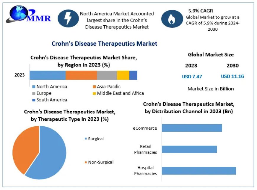 Crohn’s Disease Therapeutics Company: Analyzing Regulatory Challenges and Opportunities by 2030