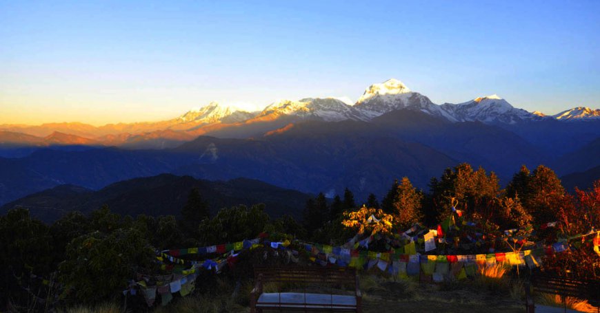 Ghorepani Ghandruk Trek 2024