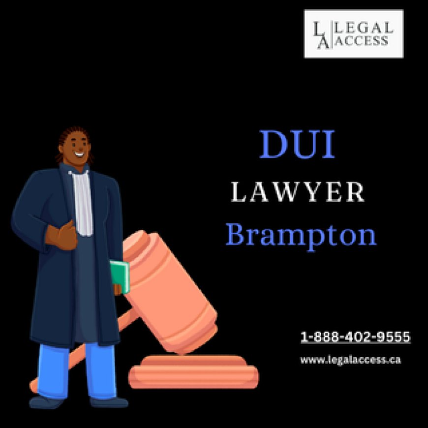 Understanding the Role of a DUI Lawyer in Toronto