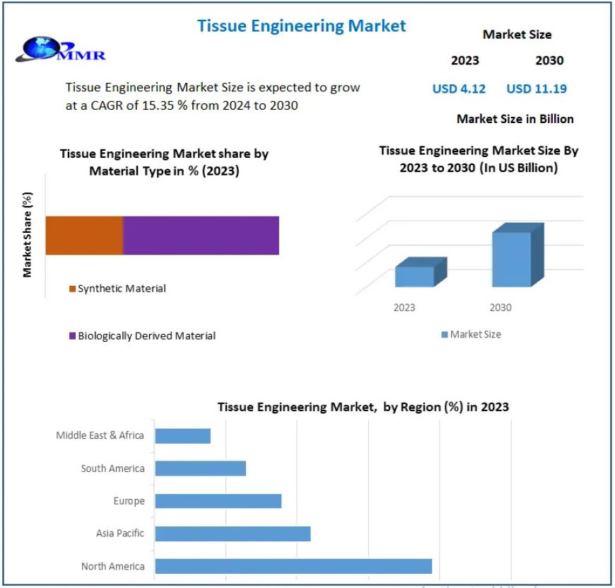 Tissue Engineering Industry Expected to Expand from USD 4.12 Billion to USD 11.19 Billion by 2030