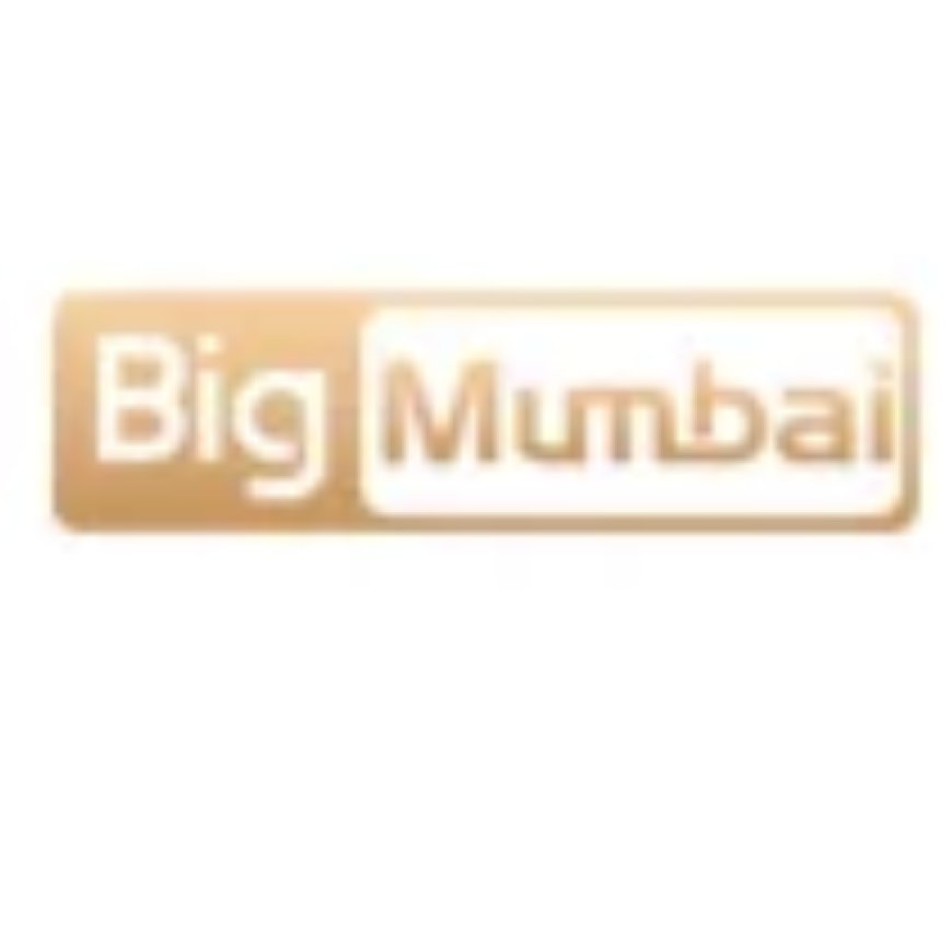 Big Mumbai Game: Play & Win Rewards Daily with Exciting Color Prediction Games