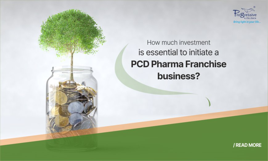 How Much Investment Is Essential to Initiate a PCD Pharma Franchise Business?