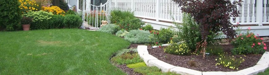 Landscaping in Appleton: Transforming Outdoor Spaces with Beauty and Functionality