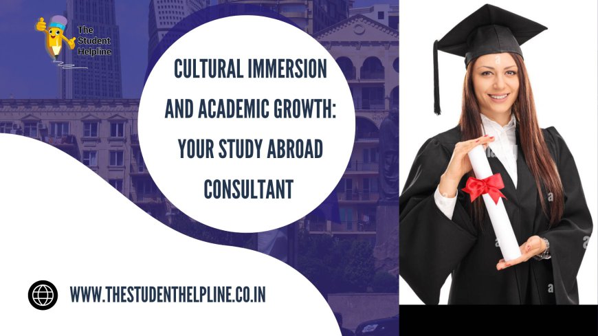 Cultural Immersion and Academic Growth: Your Study Abroad Consultant