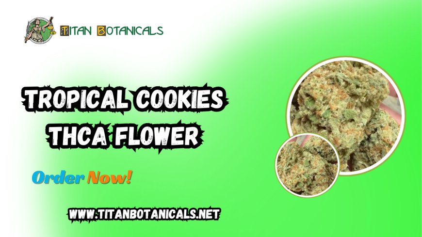 Tropical Cookies THCA Flower: A Flavorful Experience by Titan Botanicals