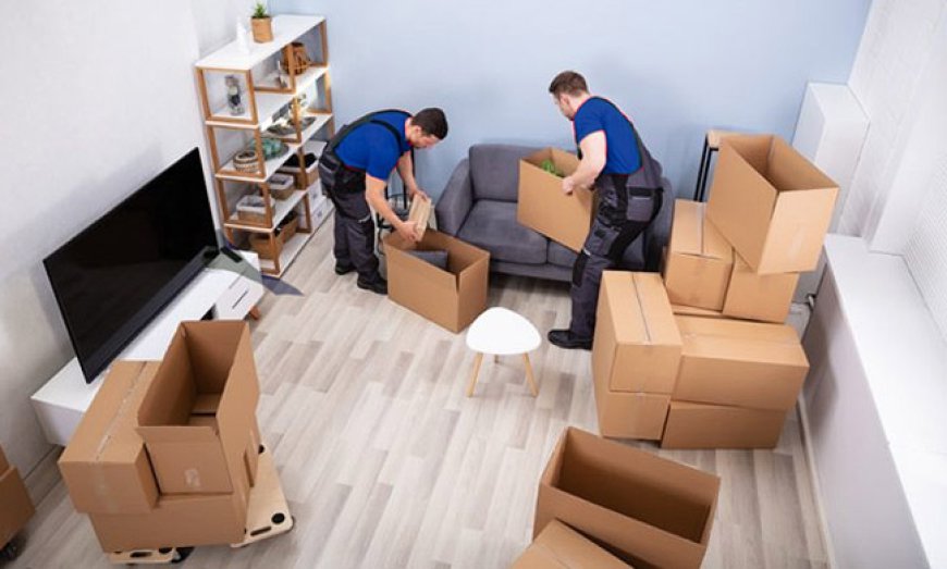 5 Reasons to Hire Professional Packers and Movers in Sialkot