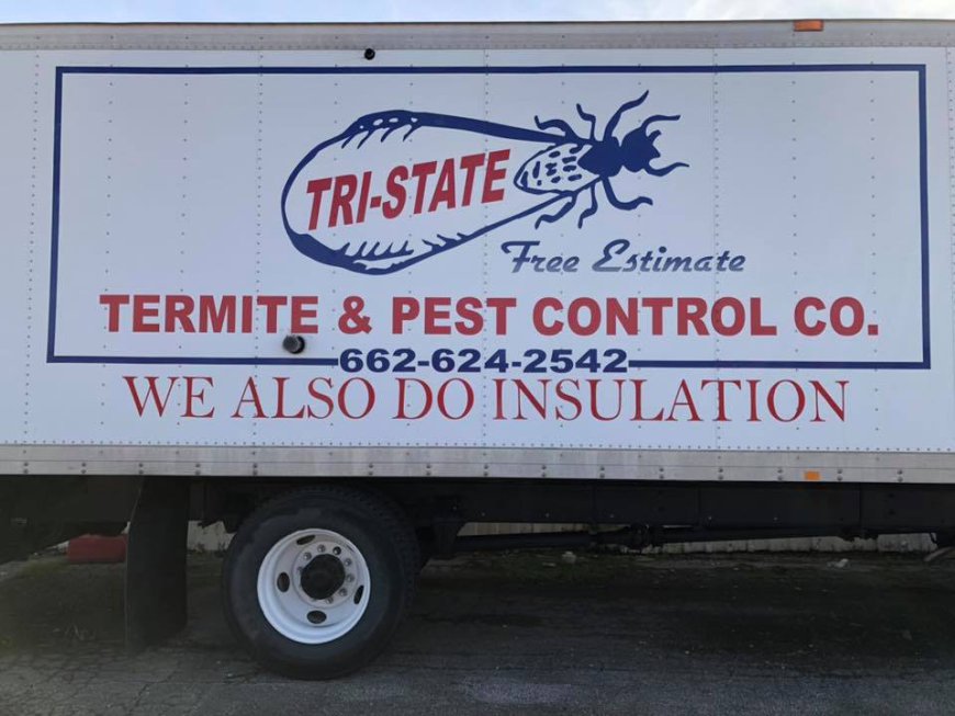 Looking for help with a pest problem in Upstate South Carolina? Protect your home with pest control companies in Greenville.