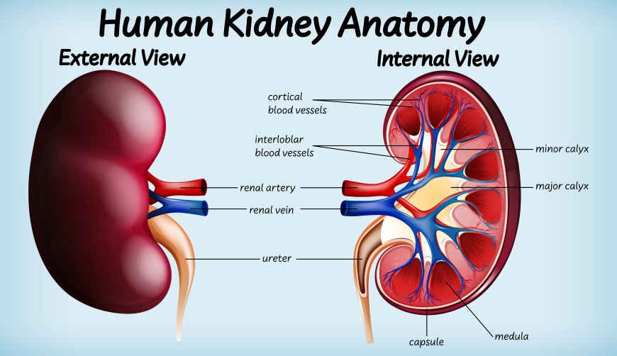 How to get kidney cyst treatment in India?