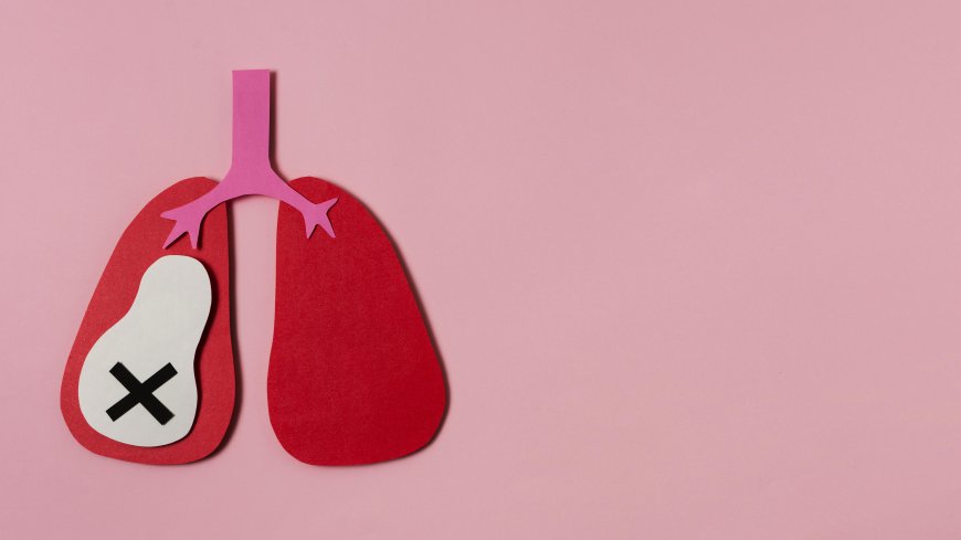 How Does Pollution Affect Heart and Lungs Care