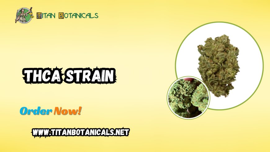 Explore the Best THCA Strains: Your Guide to Premium THCA Flowers at Titan Botanicals