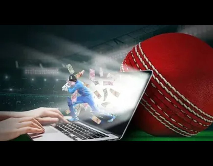 The Future of Betting: Discover the 9Wickets Bet Platform