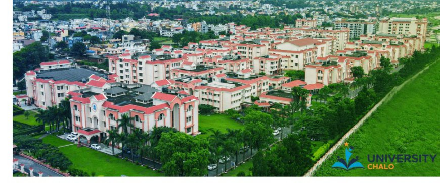 Finding My Place: How Uttaranchal University Helped Me Grow