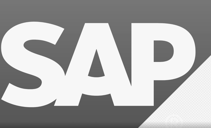 Beginner’s Guide to Navigating the SAP Job Market