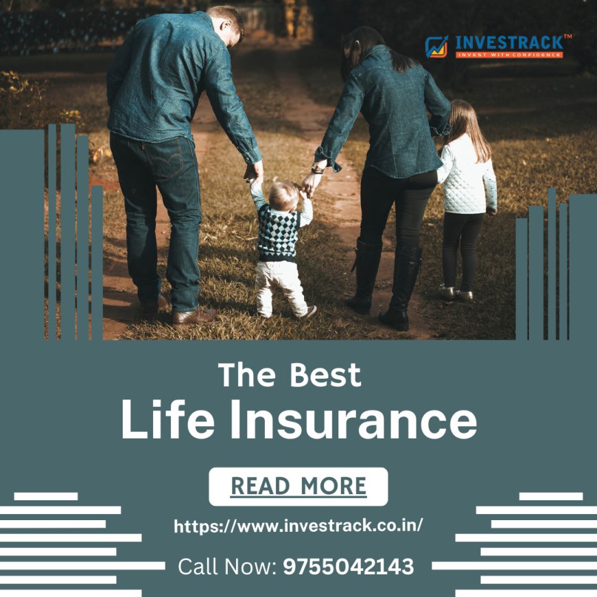 A Full Guide to Find the Best Life Insurance Companies in Rewa