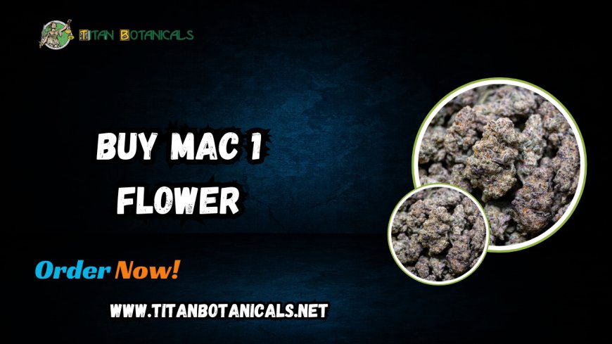 The Ultimate Guide to MAC 1 THCA Flower: Elevate Your Experience