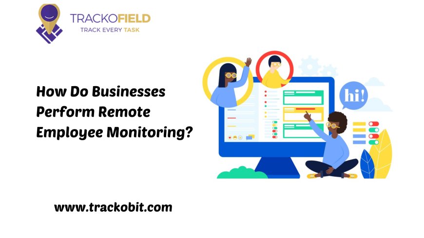 How Do Businesses Perform Remote Employee Monitoring?