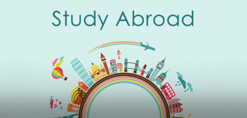 Seamless Study Abroad Experiences with Professional Consultancy