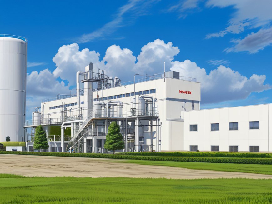 Niacin Manufacturing Plant Report 2024: Project Details, Machinery Requirements and Cost Involved