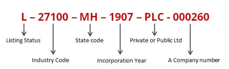 Steps to Verify Your CIN Number