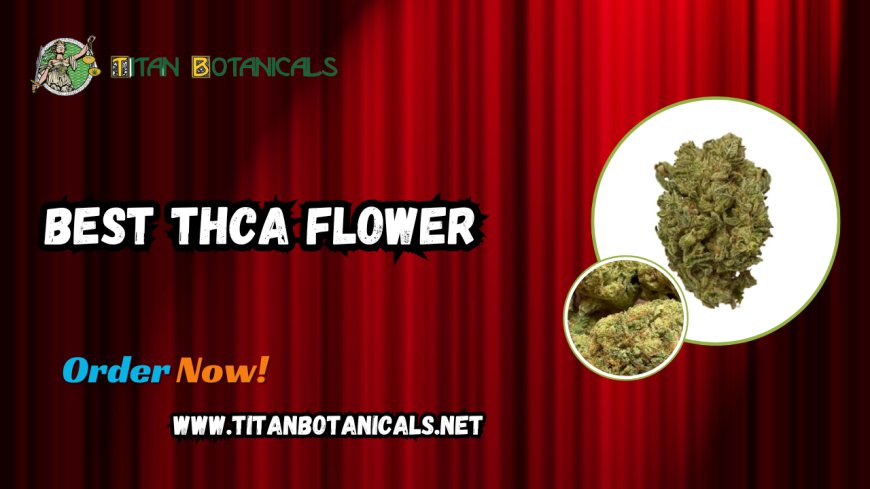 The Best THCA Flower: A Comprehensive Guide by Titan Botanicals