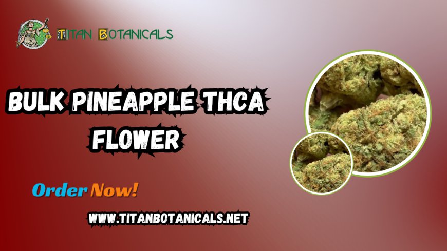 Elevate Your Experience with Bulk Pineapple THCA Flower from Titan Botanicals