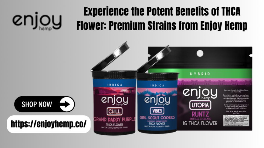 Premium THCA Flower by Enjoy Hemp – Discover Pure Potency