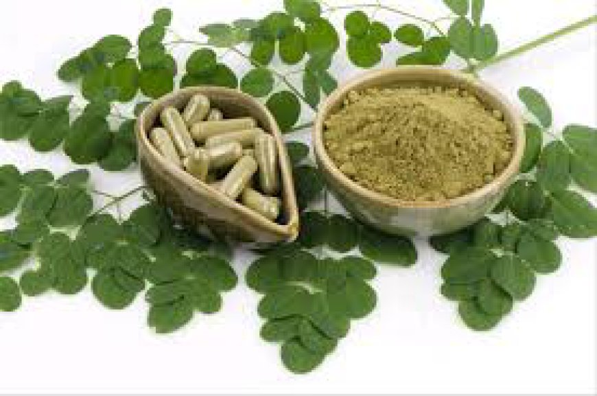 Unlocking the Potential of Moringa Powder: A Sustainable Superfood for the Future