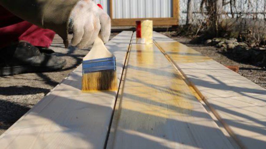 Safeguarding Your Deck with Eco-friendly Sealers: The Ultimate Guide