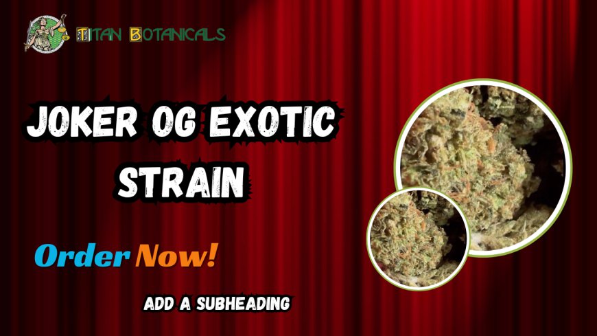 Joker OG Exotic Strain: Premium THCA Flower from Titan Botanicals