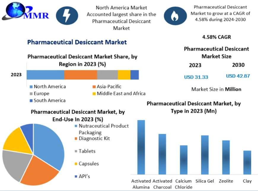 Pharmaceutical Desiccant Market Analysis (2024): Current Scope and Industry Outlook Through 2030