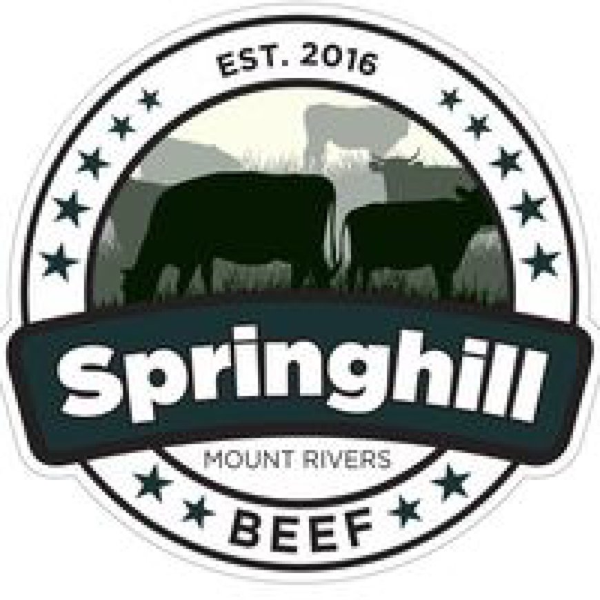 From Paddock to Plate: The Springhill Beef Experience