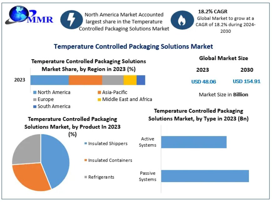 Temperature Controlled Packaging Solutions Market Outlook: Capacity, Value, and Profit Projections through 2030