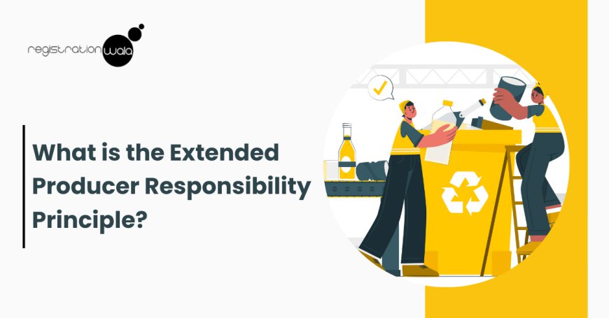 what is extended producer responsibility principle?