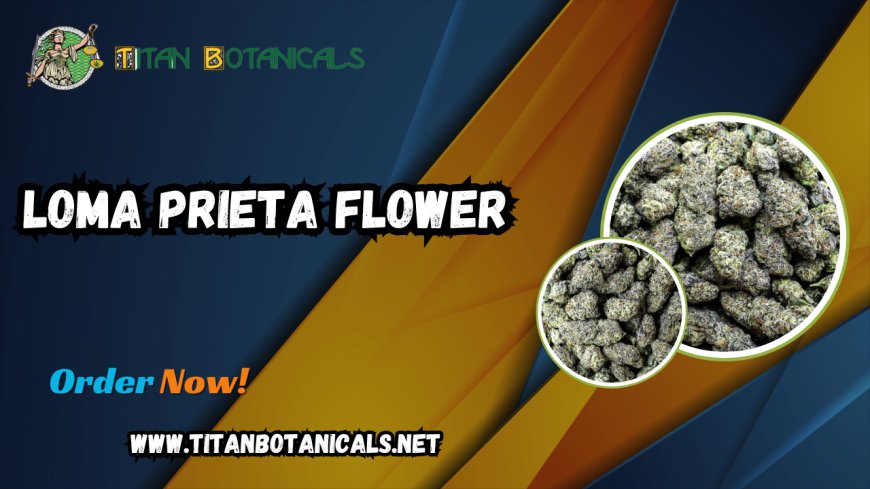 Experience the Loma Prieta Flower: Premium Quality at Titan Botanicals