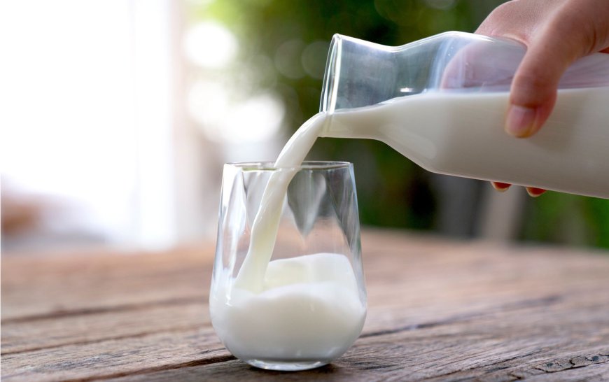 South Korea Organic 2% Milk Market Size, Share, Growth, Trends and Forecasts