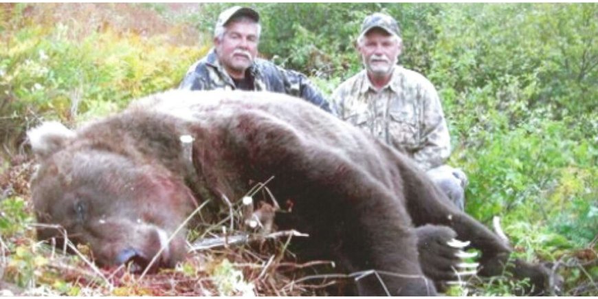 5 Reasons Hunting Enthusiasts Should Go For Alaska Brown Bear Hunts