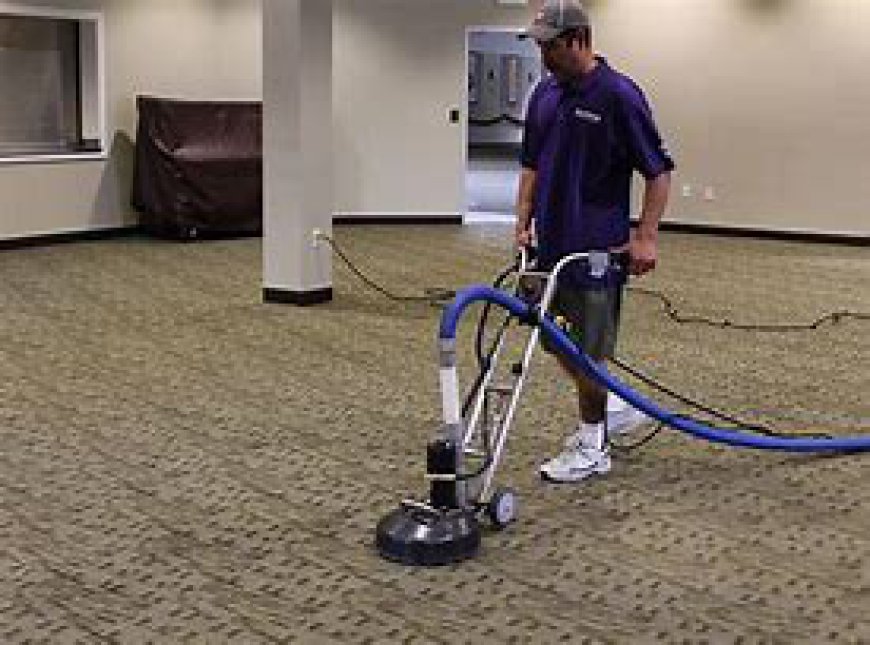 The Benefits of Professional Carpet Cleaning for a Healthier Home Environment