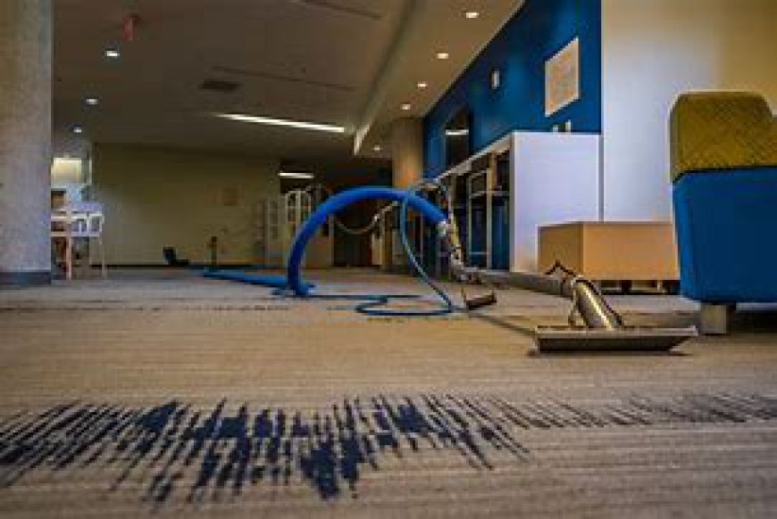 The Role of Professional Carpet Cleaning in Creating a Comfortable Home