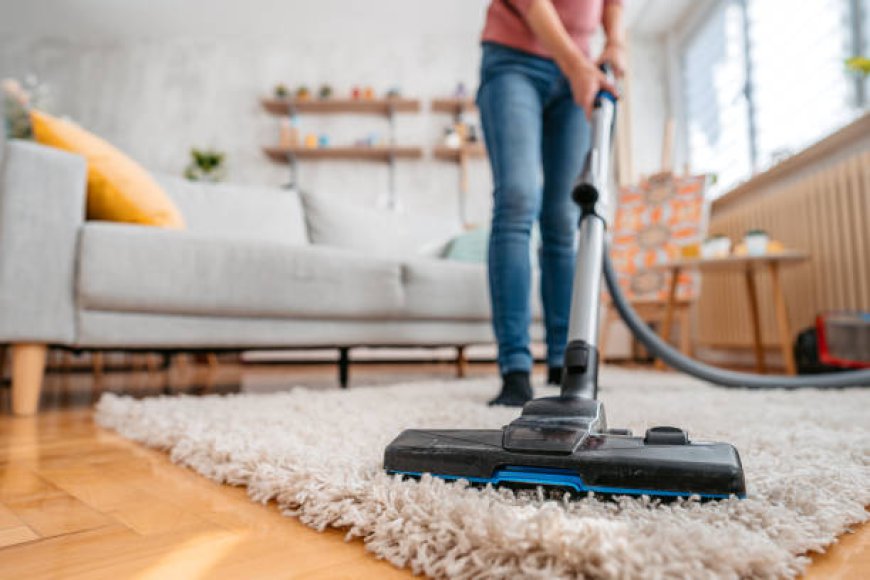 Discover SEBO Vacuum Cleaners for Ultimate Cleaning Power