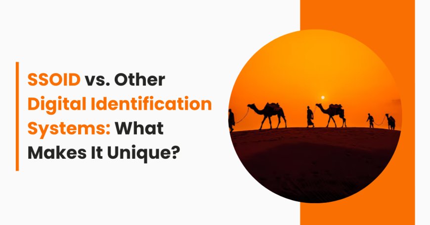 SSOID vs. Other Digital Identification Systems: What Makes It Unique?