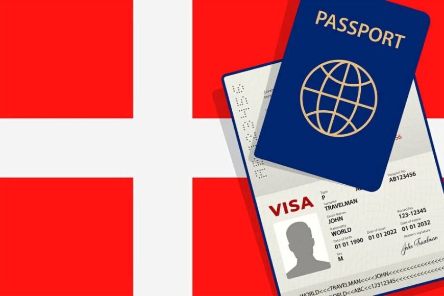 Tips for a Smooth Denmark Tourist Visa Application Process