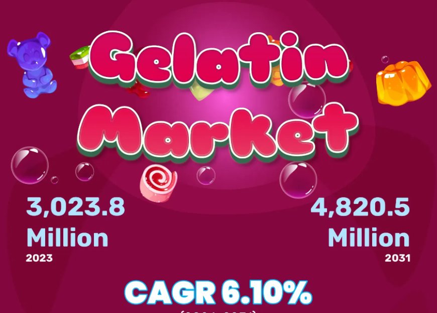 Gelatin Market Analysis and Growth Trends (2024 - 2031)