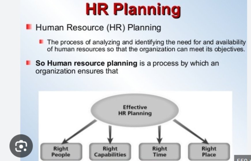 Career in HR: Is It the Right Choice for You?