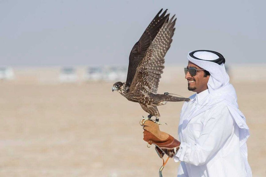 Falcon Hunting in Qatar: A Noble Tradition in the Heart of the Desert