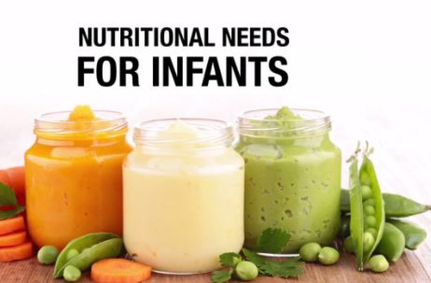 Infant Nutrition Market Future Scope, Demands and Projected Industry Growths 2031