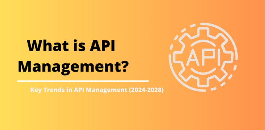 What is API Management 2024-2028? Trends, Challenges, and Future Perspectives